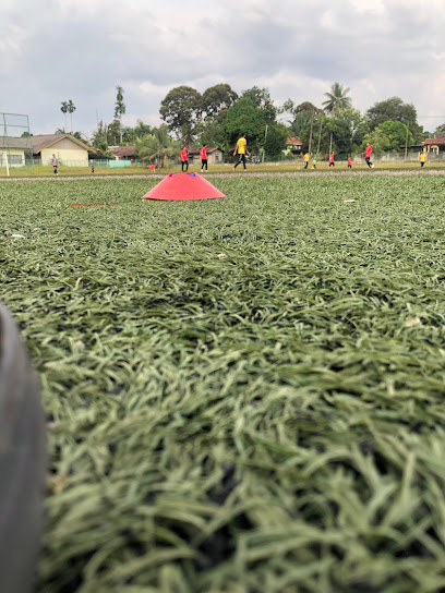 PADANG SINTETIK KUBU GAJAH