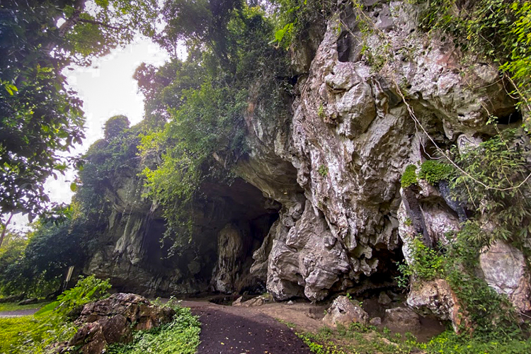 GUA KAJANG